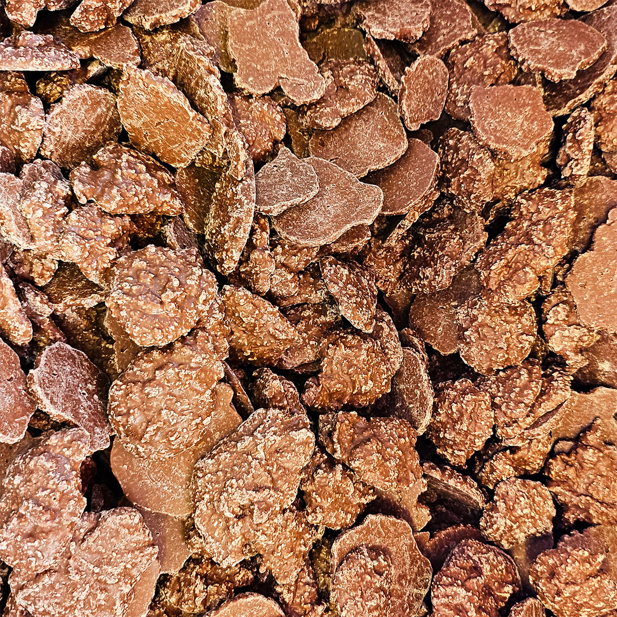 Close-up of brown coconut chocolate clusters.