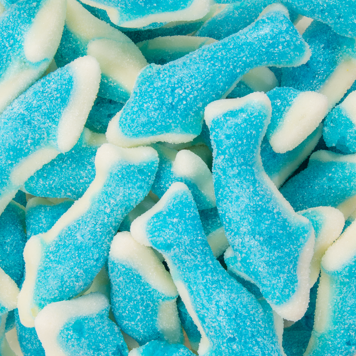 Freeze Dried Shark