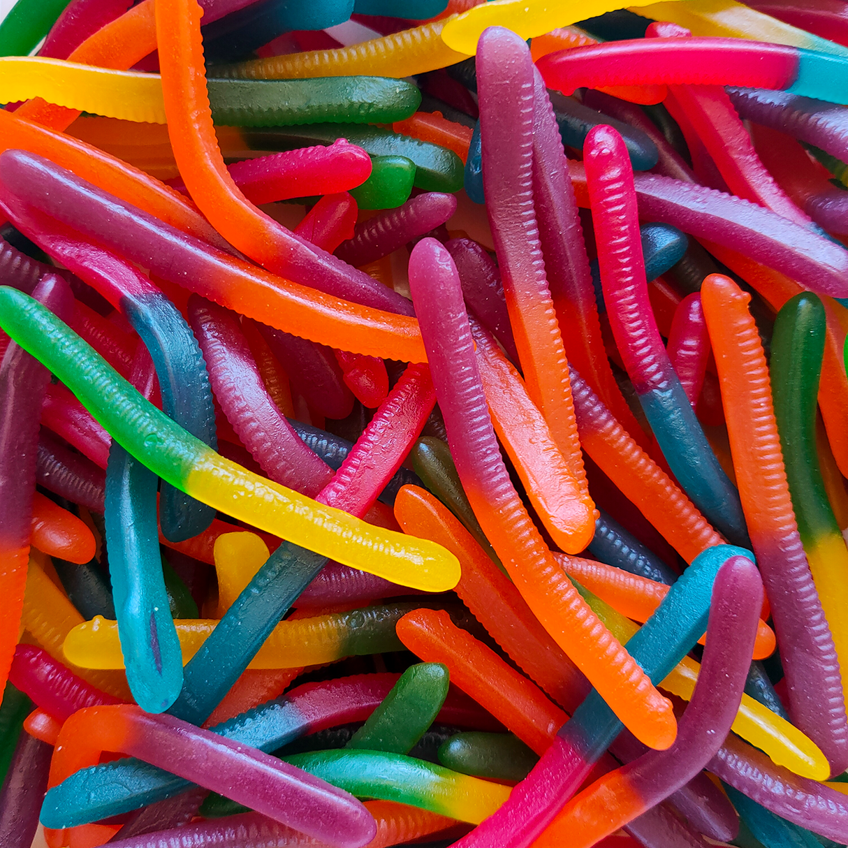 Gloworms