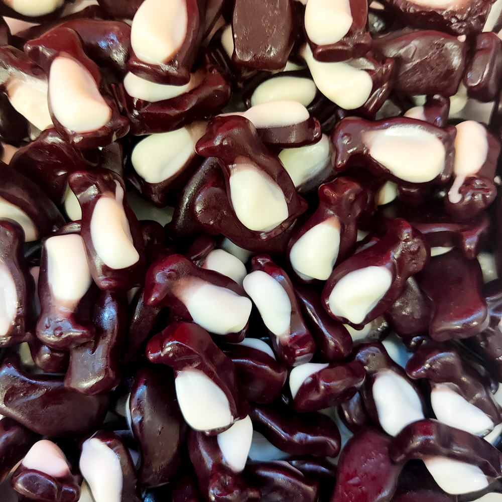 Gummy Penguins, Penguin lollies, Gummy lollies NZ,