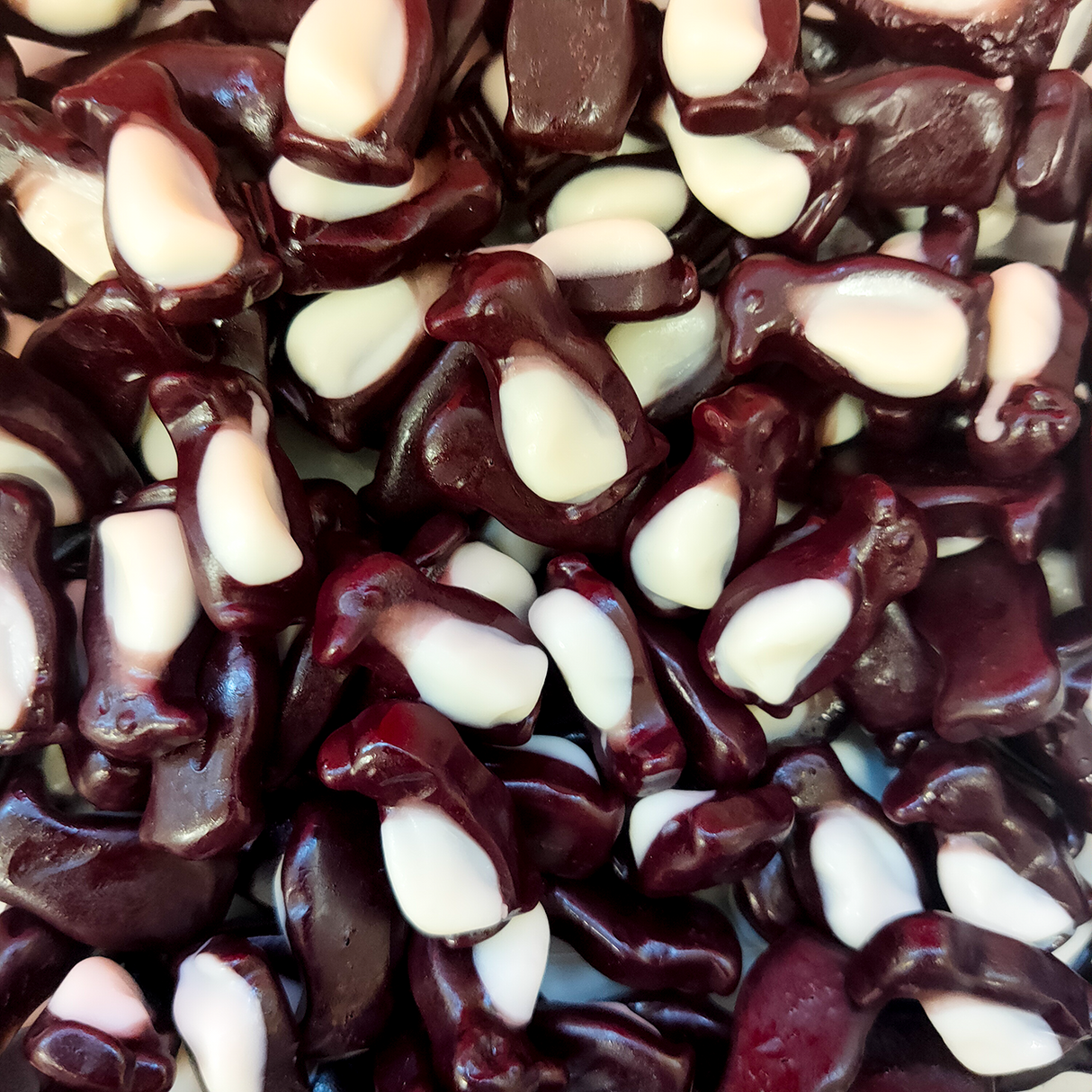 Gummy Penguins, Penguin lollies, Gummy lollies NZ,