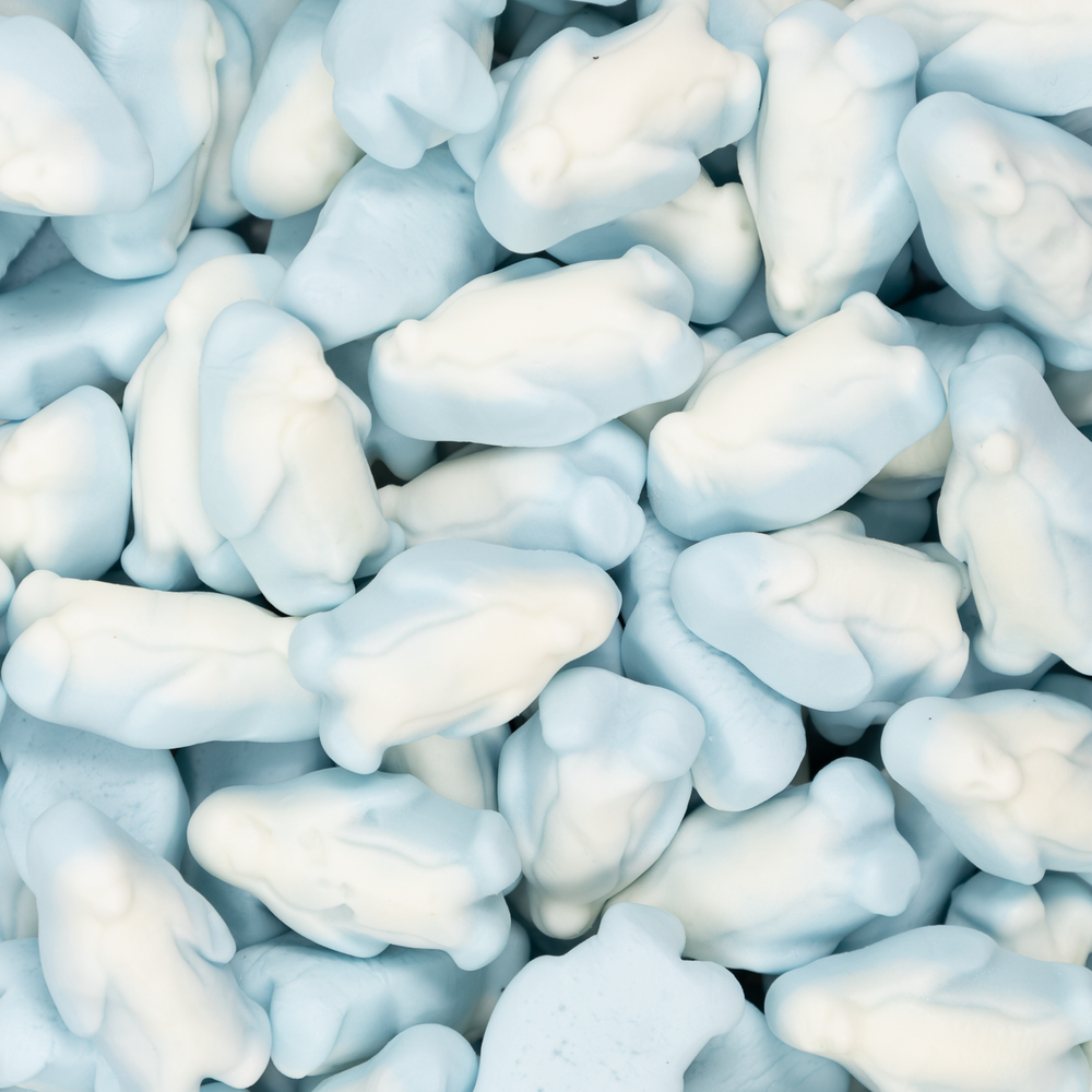 baby penguin, christmas, lollies, lollyshop