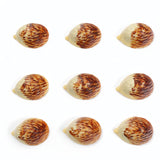 Hedgehog (Single Chocolate)
